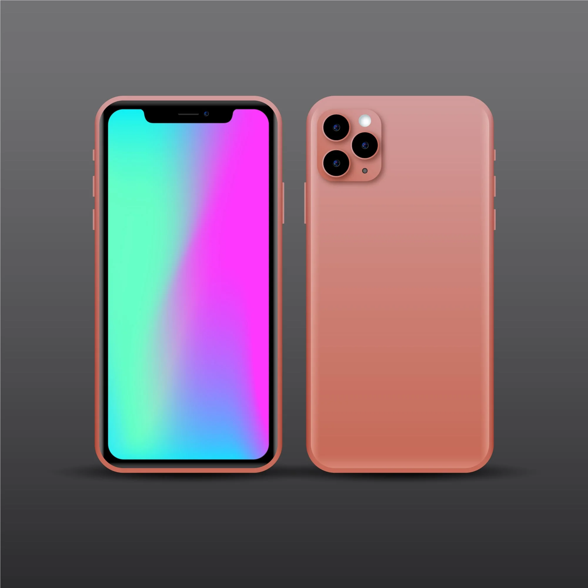 iPhone 12 Size